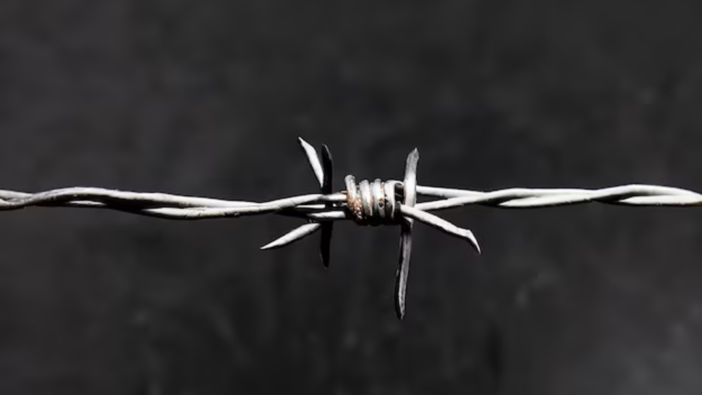 Ganapathy Wire Netting Company Coimbatore - Fencing Contractors in Coimbatore - Barbed Wire - Blog 4