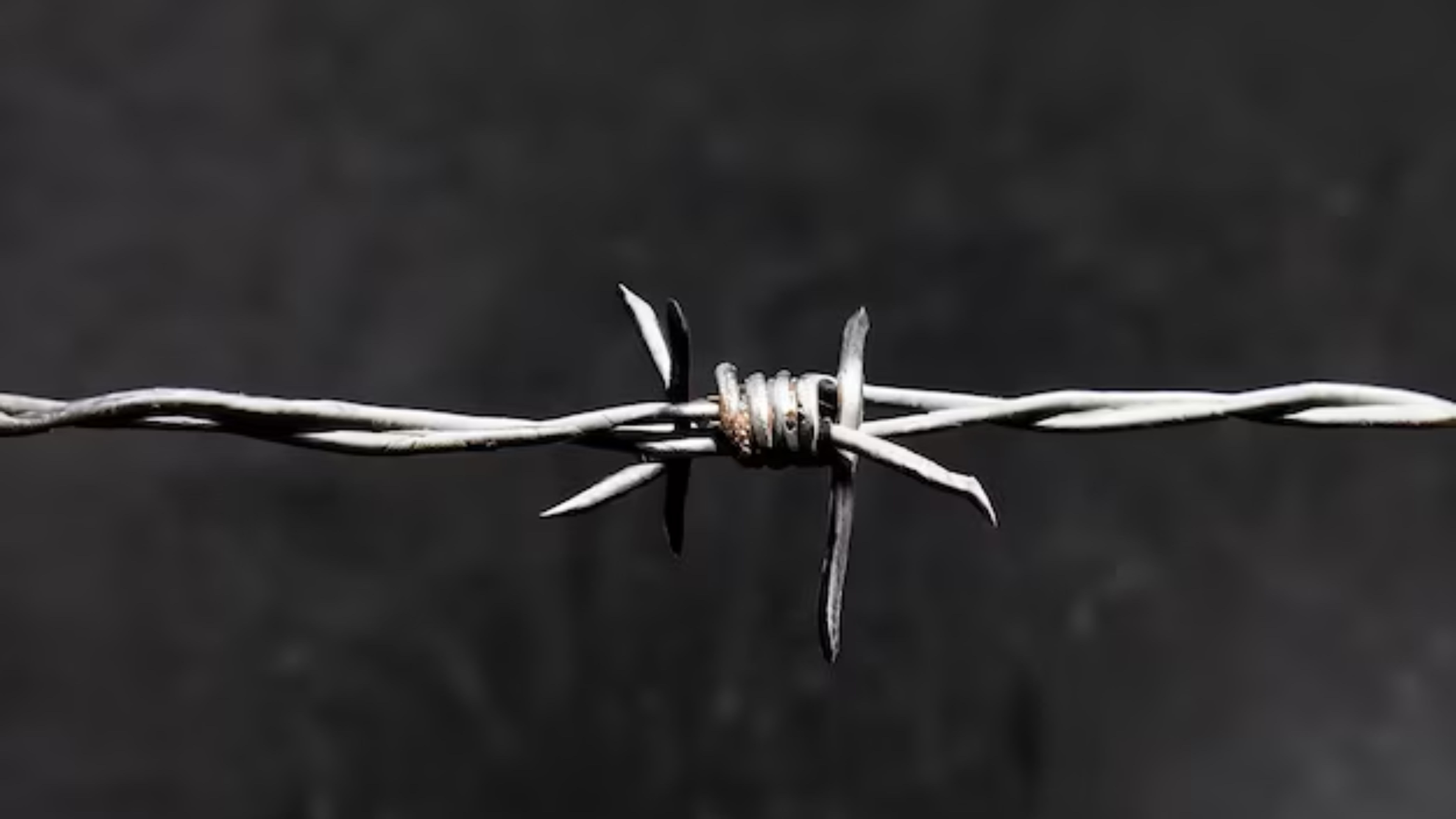 Ganapathy Wire Netting Company Coimbatore - Fencing Contractors in Coimbatore - Barbed Wire - Blog 4