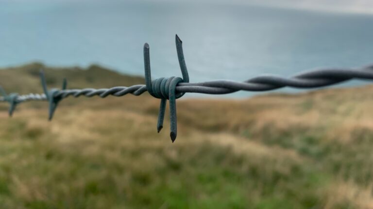 Ganapathy Wire Netting - Best Fencing Contractor - barbed wiremesh- Fence Manufacturer