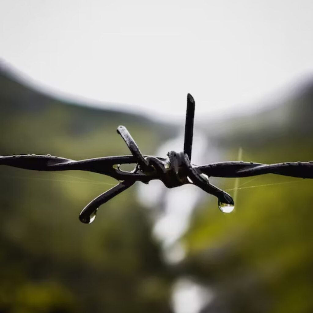 Ganapathy Wire Netting - Best Fencing Contractor - barbed wiremesh- Fence Manufacturer