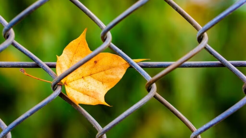 Ganapathy Wire Netting - Best Fencing Contractor – Chain Link - Fence Manufacturer