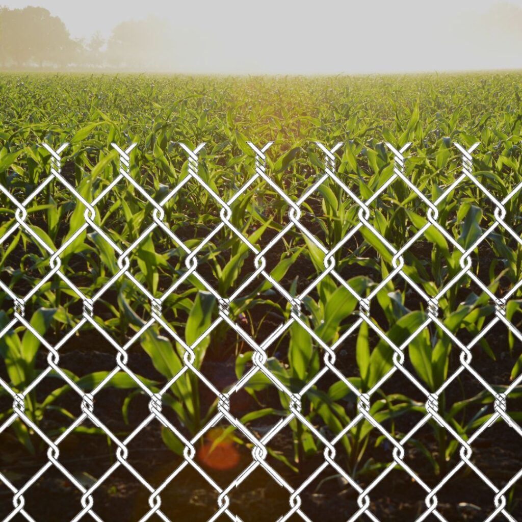 Ganapathy Wire Netting - Best Fencing Contractor – Exploring Twisted Wire Mesh Uses - Fence Manufacturer